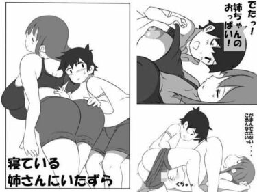 エチエチ漫画ー寝ている姉さんにいたずらd_224666ダウンロードはコチラ！