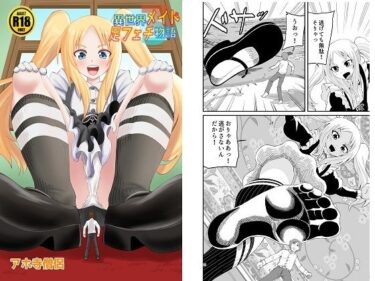 エチエチ漫画ー異世界メイド足フェチ物語3d_228916ダウンロードはコチラ！