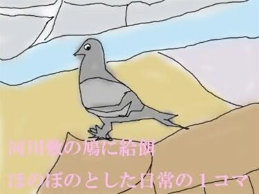 エチエチ漫画ー河川敷の鳩に給餌 ほのぼのとした日常の1コマd_243761ダウンロードはコチラ！