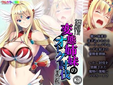 エチエチ漫画ー魔物は全員ヤり倒す！変態姉妹のオーク討伐冒険記 3巻d_249495ダウンロードはコチラ！