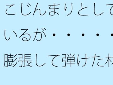 エチエチ漫画ー【無料】こじんまりとしているが・・・・・膨張して弾けた材料d_526227zeroダウンロードはコチラ！