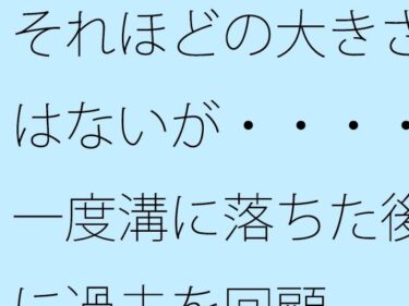 エチエチ漫画ーそれほどの大きさはないが・・・・一度溝に落ちた後に過去を回顧d_530236ダウンロードはコチラ！